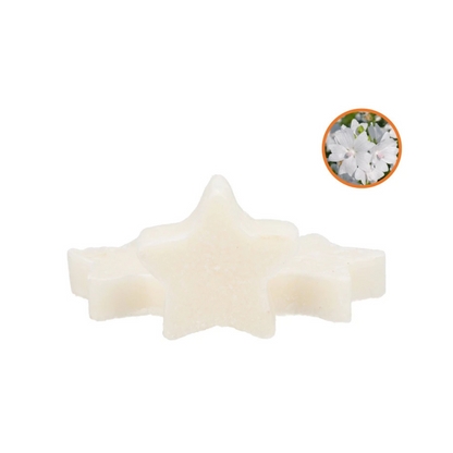 Fondants de Bougies 2pc- Différentes Senteurs